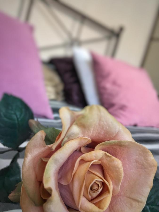Apartament Zuzia Olsztyn  Dış mekan fotoğraf